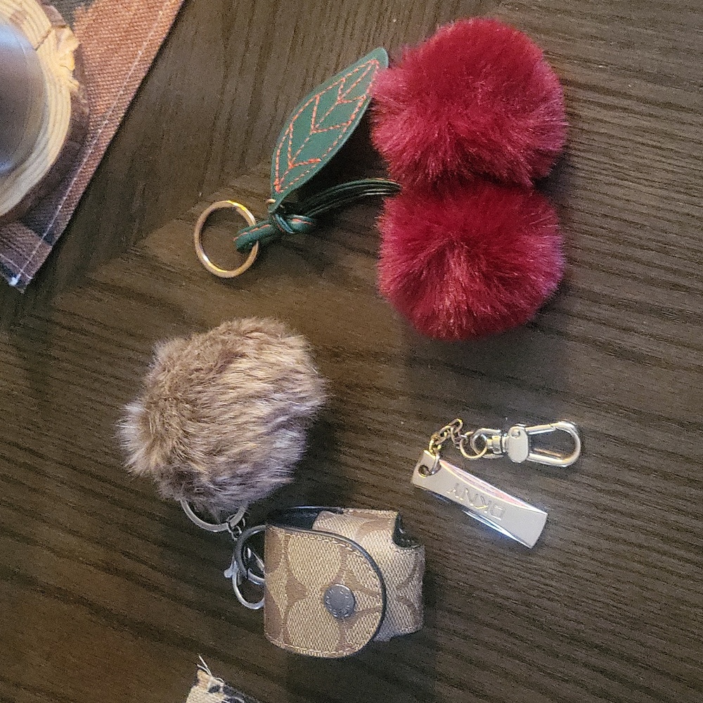 3 Keychains An Purse Tags - Picture 6 of 8